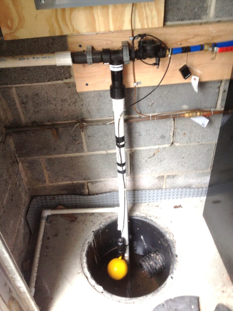 Backup Pump Systems